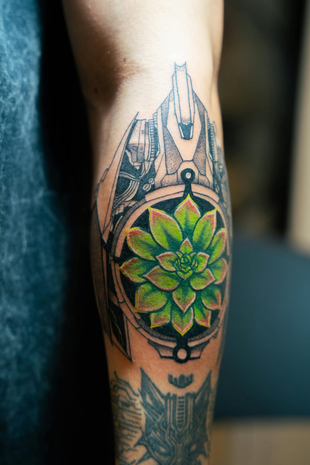 Botanical succulent — calf